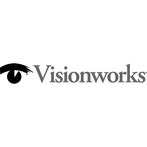 Vision Works Logo copy